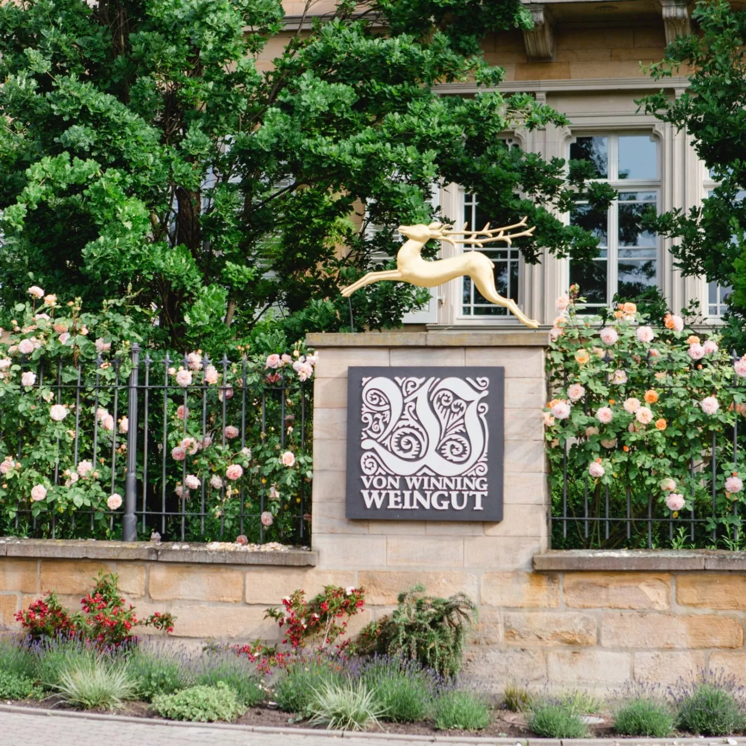 JAHRGANGSPRÄSENTATION